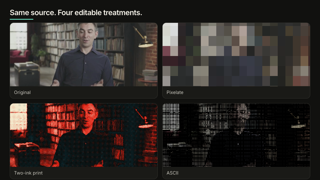 One presenter frame shown as the original, pixelated, two-ink print, and ASCII treatments